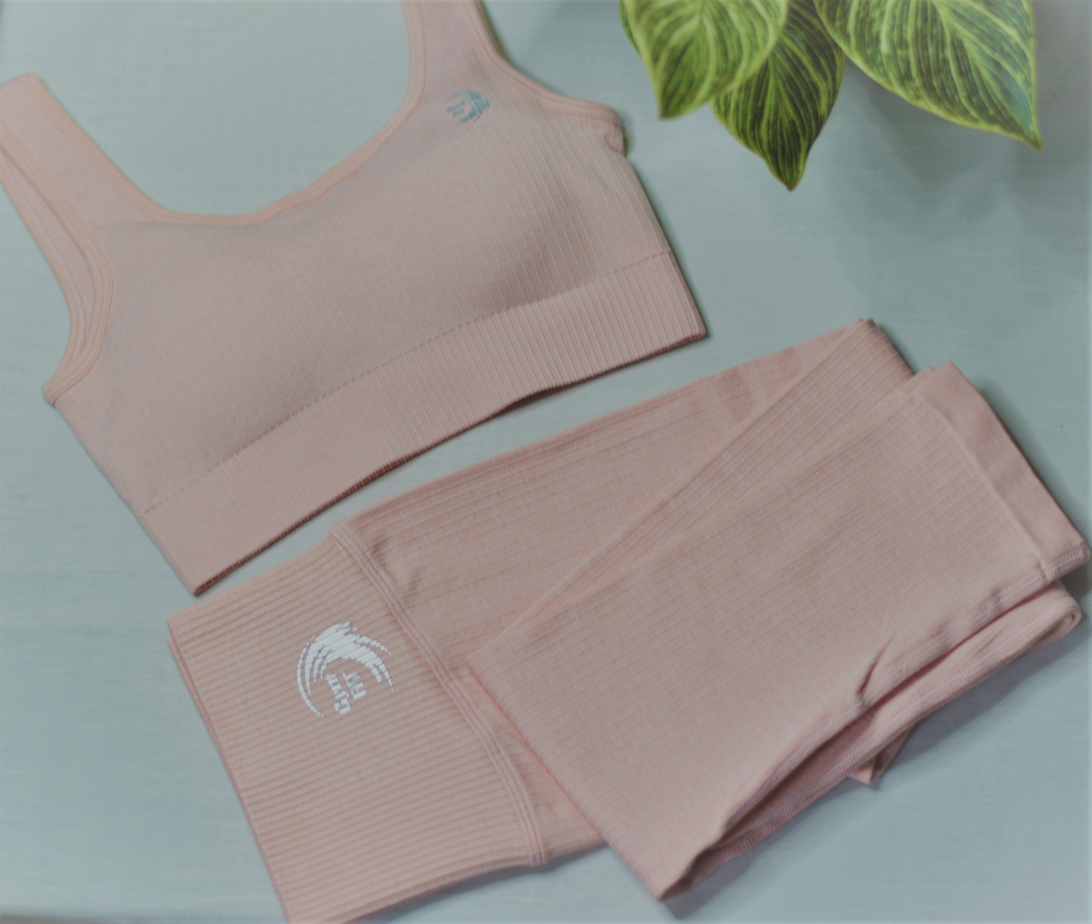 'CLASSIC' Knit Seamless set in Apricot