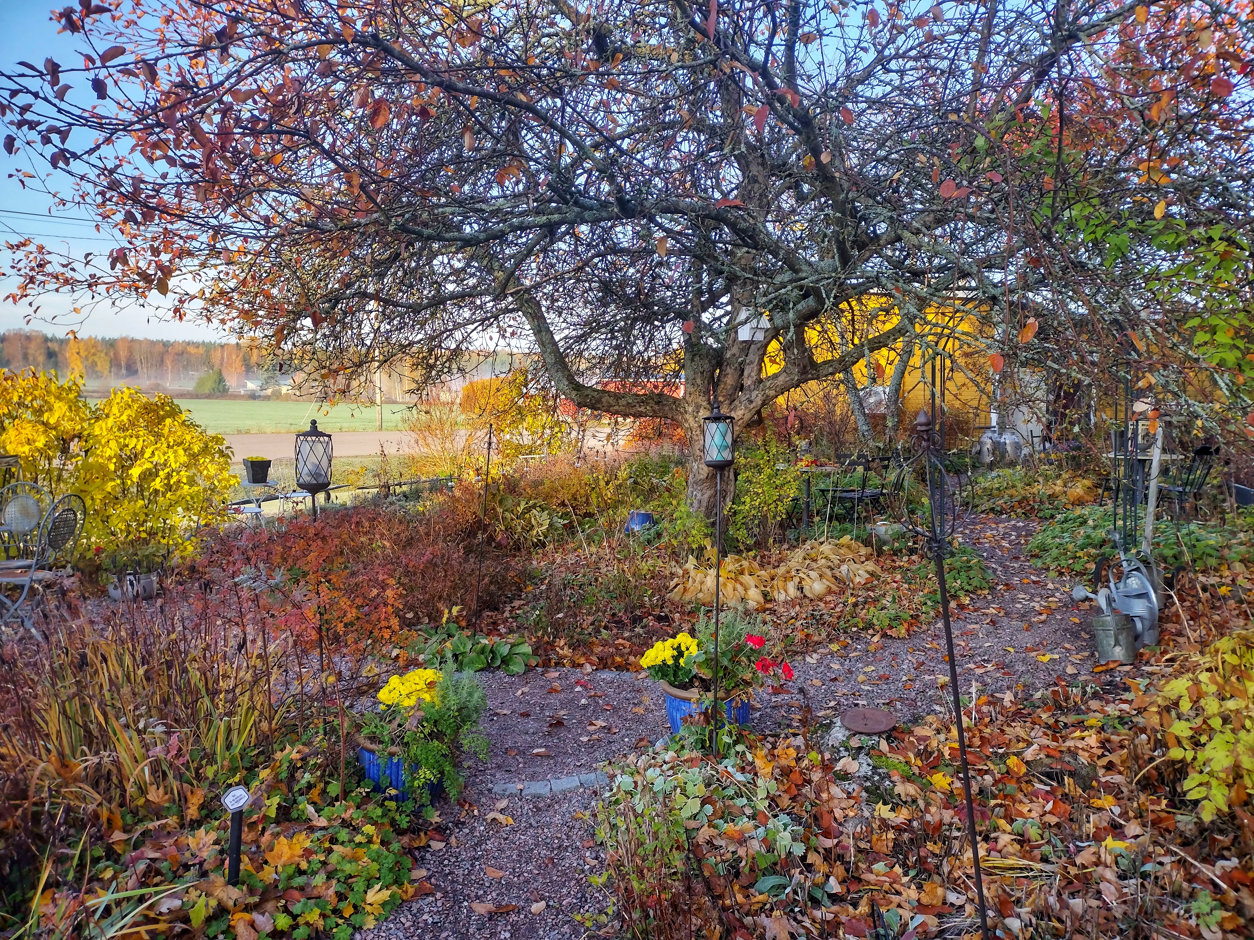 Kauppamuseon koristepuutarha on ihana nähtävyys matkailijalle niin kesällä kuin talvellakin.