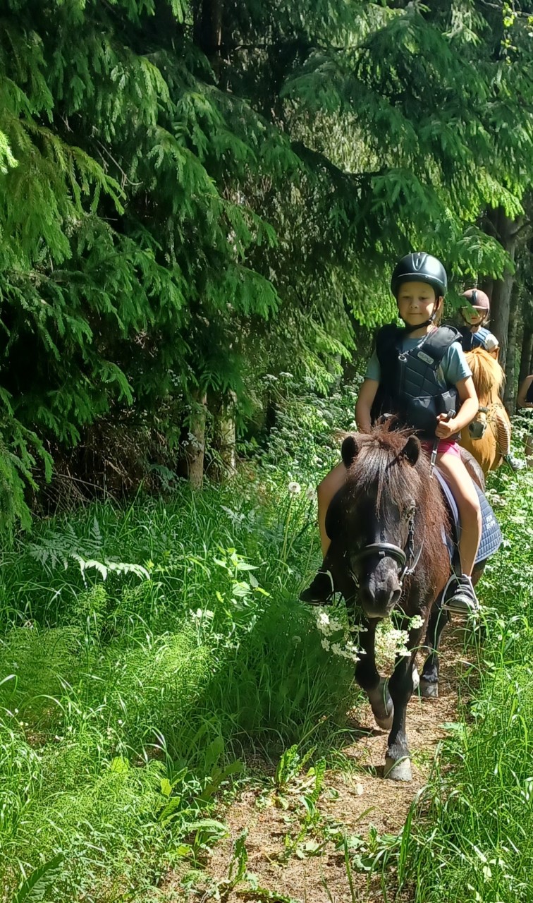 kesäleiri lapsille tekemistä ratsastus poni maastoratsastus