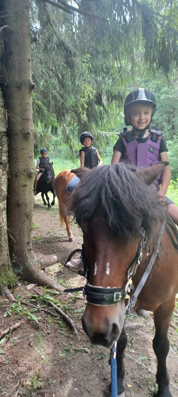 kesäleiri lapsille tekemistä ratsastus poni maastoratsastus
