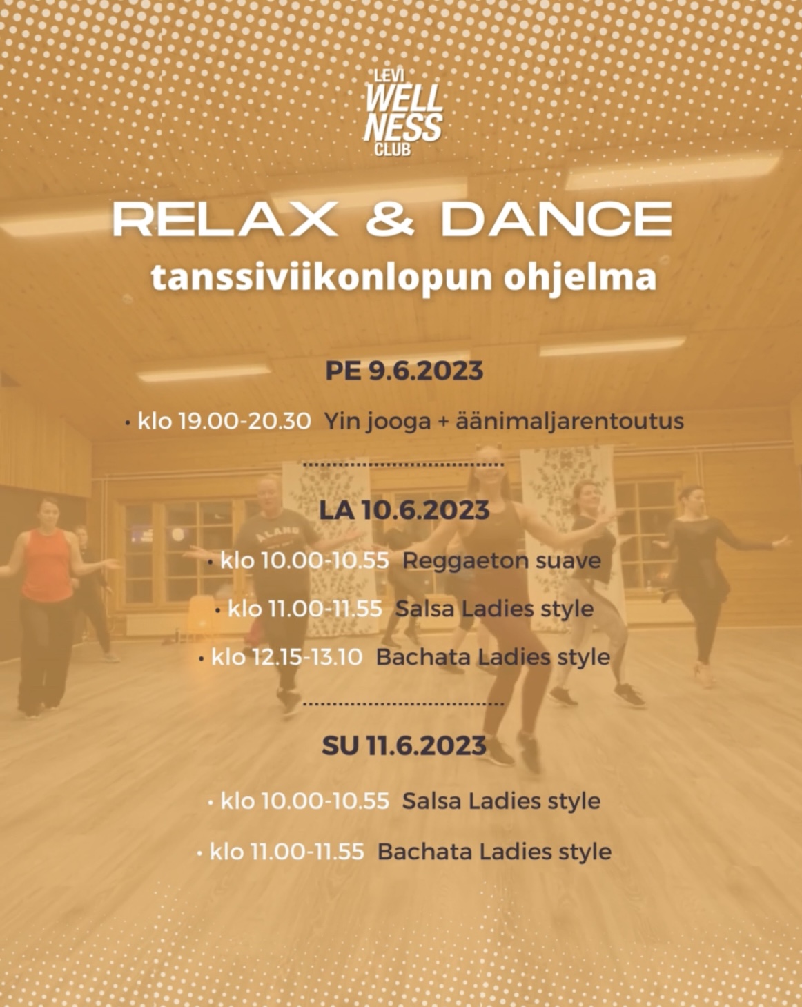 Levi workshop, tanssikurssi, jooga, tanssi, lattarit, salsa, bachata, levi, leviwellnessclub