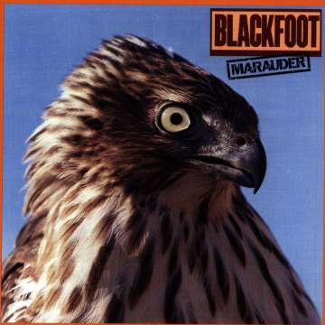 Blackfoot - Marauder - CD (uusi)