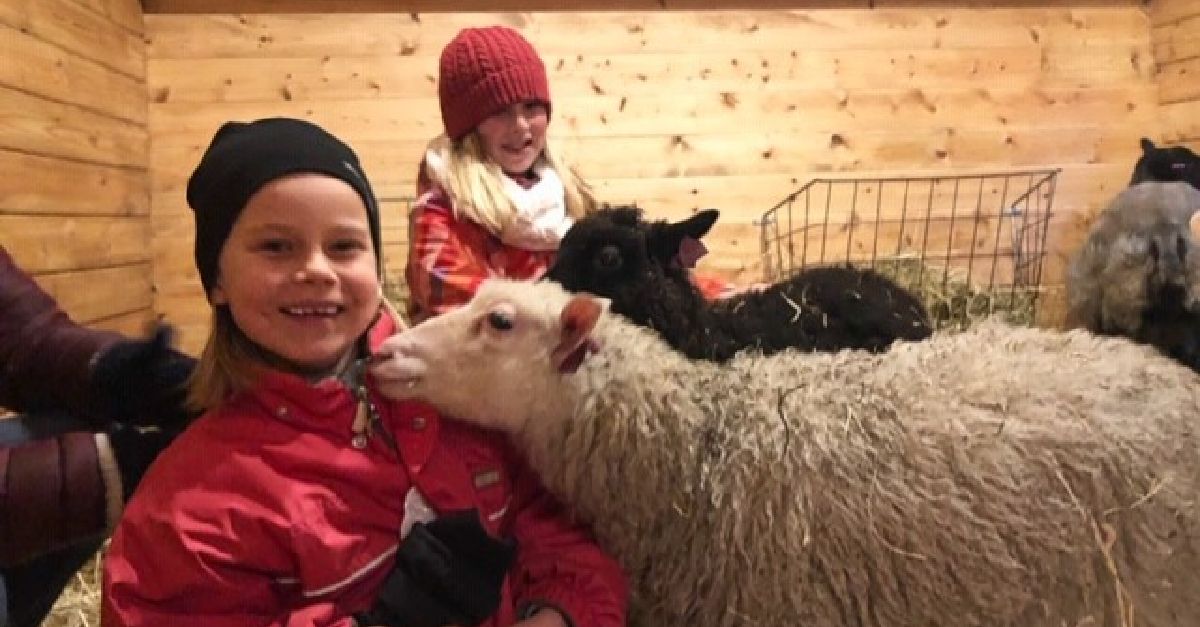 lampaita lammas lapsille tekemistä hiihtolomaleiri